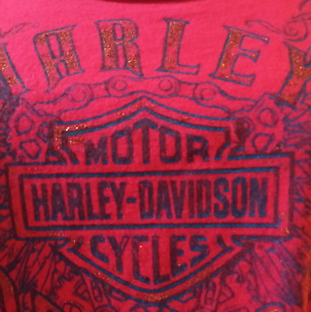 Harley Davidson Slashed Sleeved Shirt